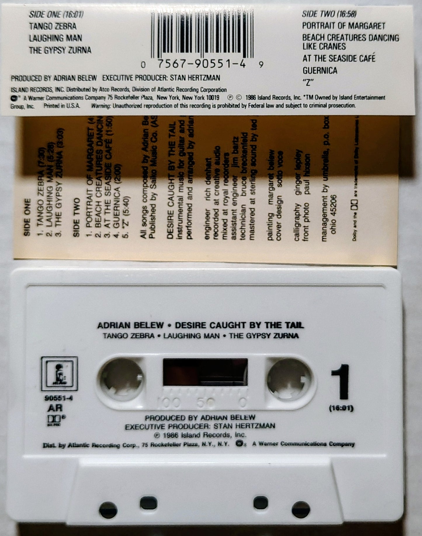 Adrian Belew - Desire Caught by the Tail