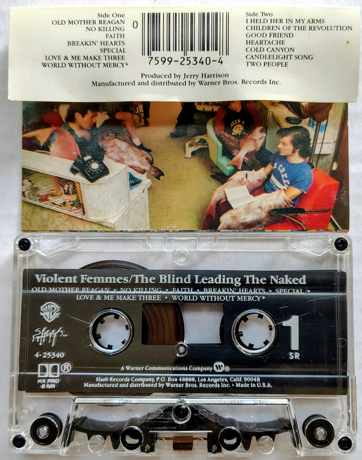 Violent Femmes - The Blind Leading the Naked