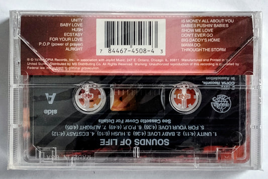 Sounds Of Life - “Unity” - CASSETTE TAPE NM/M (Sealed; cracked cover)