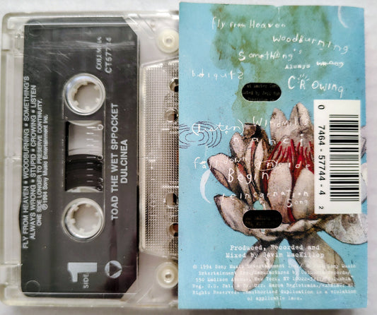 Toad the Wet Sprocket - "Dulcinea" - CASSETTE TAPE G+/VG *🚨*