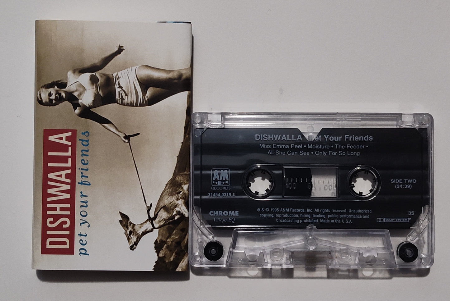 Dishwalla - "Pet Your Friends" - CASSETTE TAPE (Chrome; DOLBY Stereo) VG+/VG+