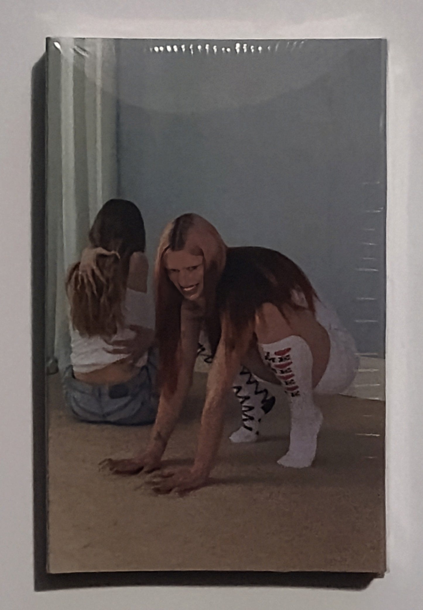 Wet Leg - "Moisturizer" - INDIE CASSETTE TAPE (White Frost) M/M (Sealed)