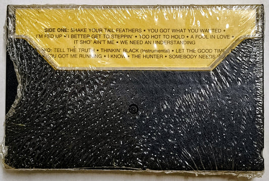 Tina Turner - “Electric Lady Vol. One” - CASSETTE TAPE NM/M (Sealed; crack in cover; torn cellophane)