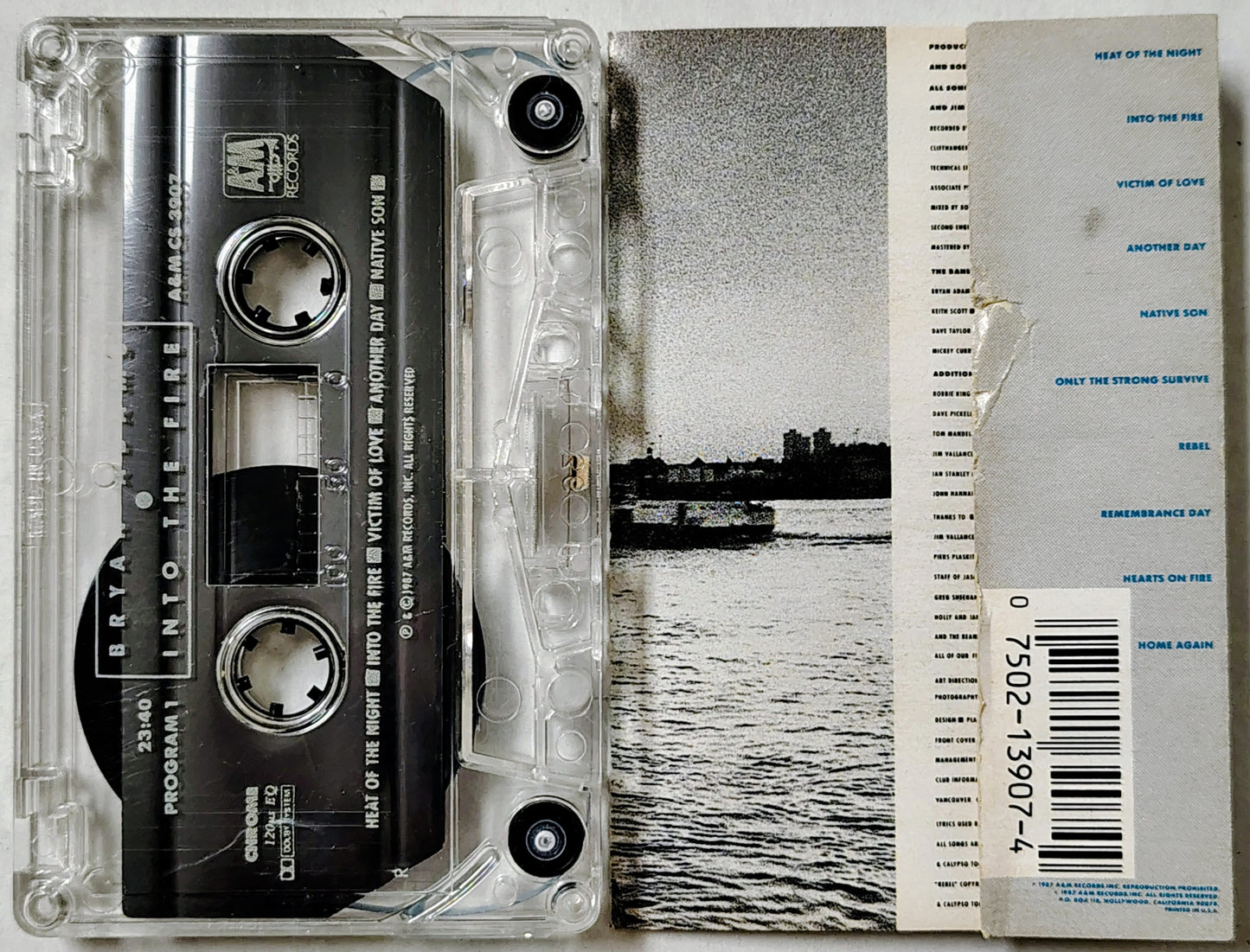 Bryan Adams - Into the Fire