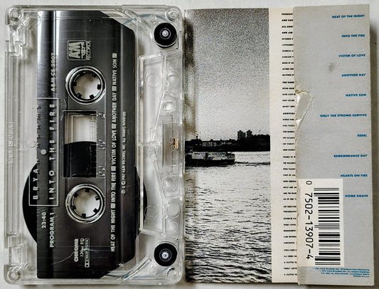 Bryan Adams - Into the Fire