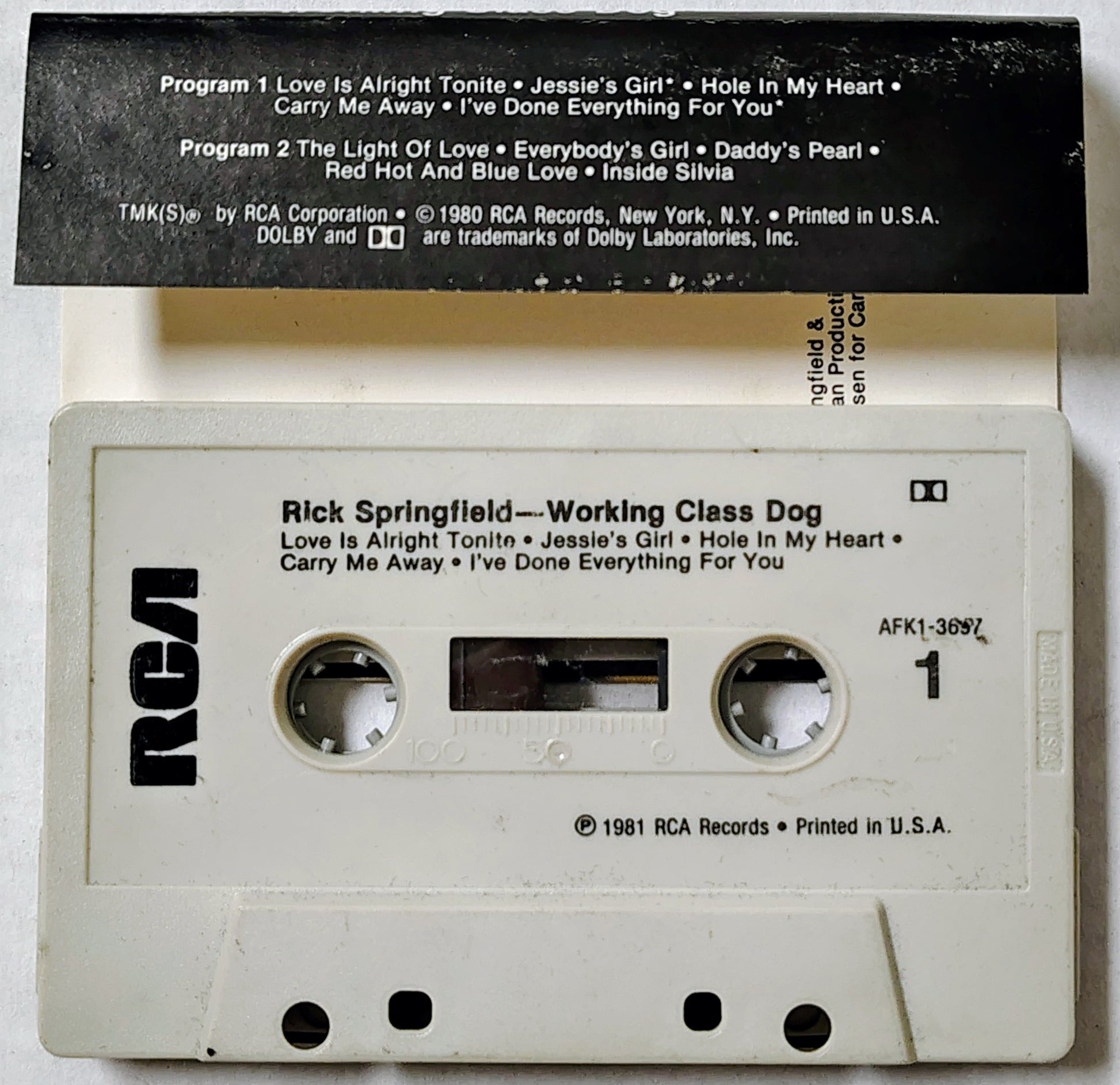 Rick Springfield - Working Class Dog