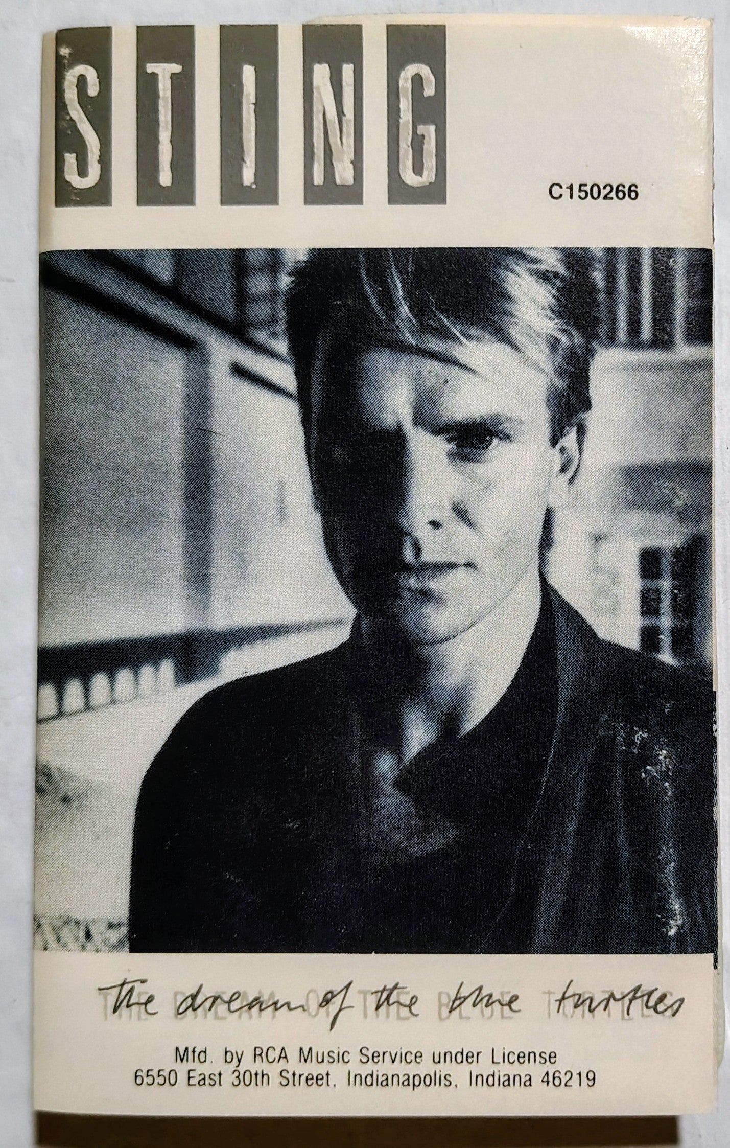 Sting - The Dream of the Blue Turtles