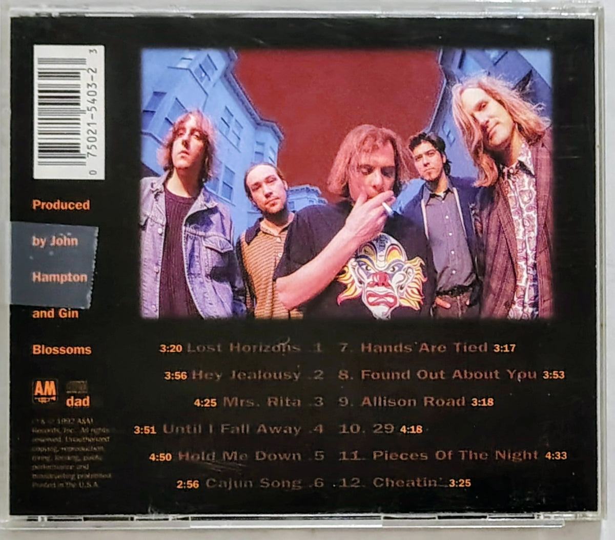 Gin Blossoms - New Miserable Experience