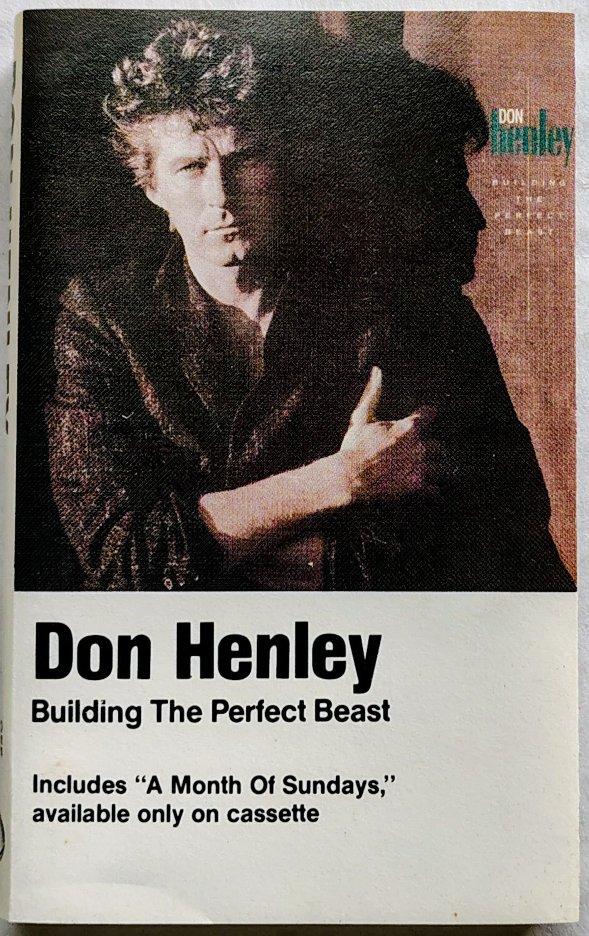 Don Henley - Building the Perfect Beast