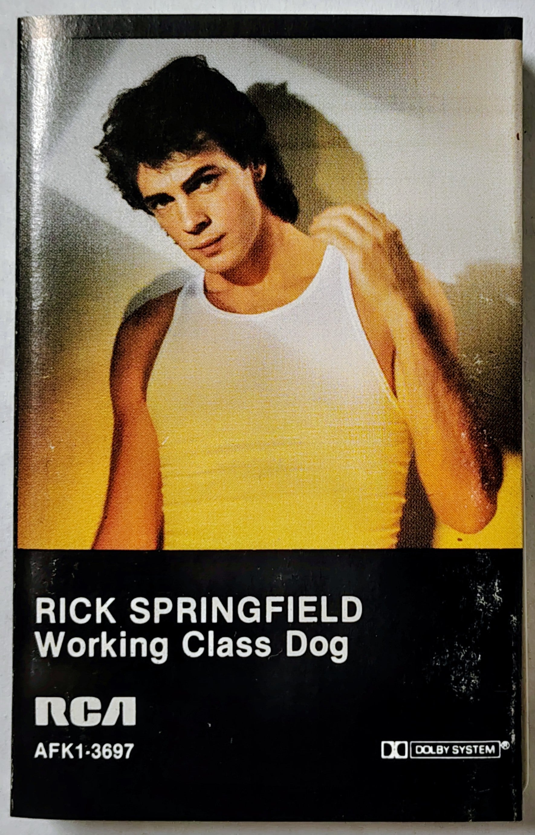 Rick Springfield - Working Class Dog