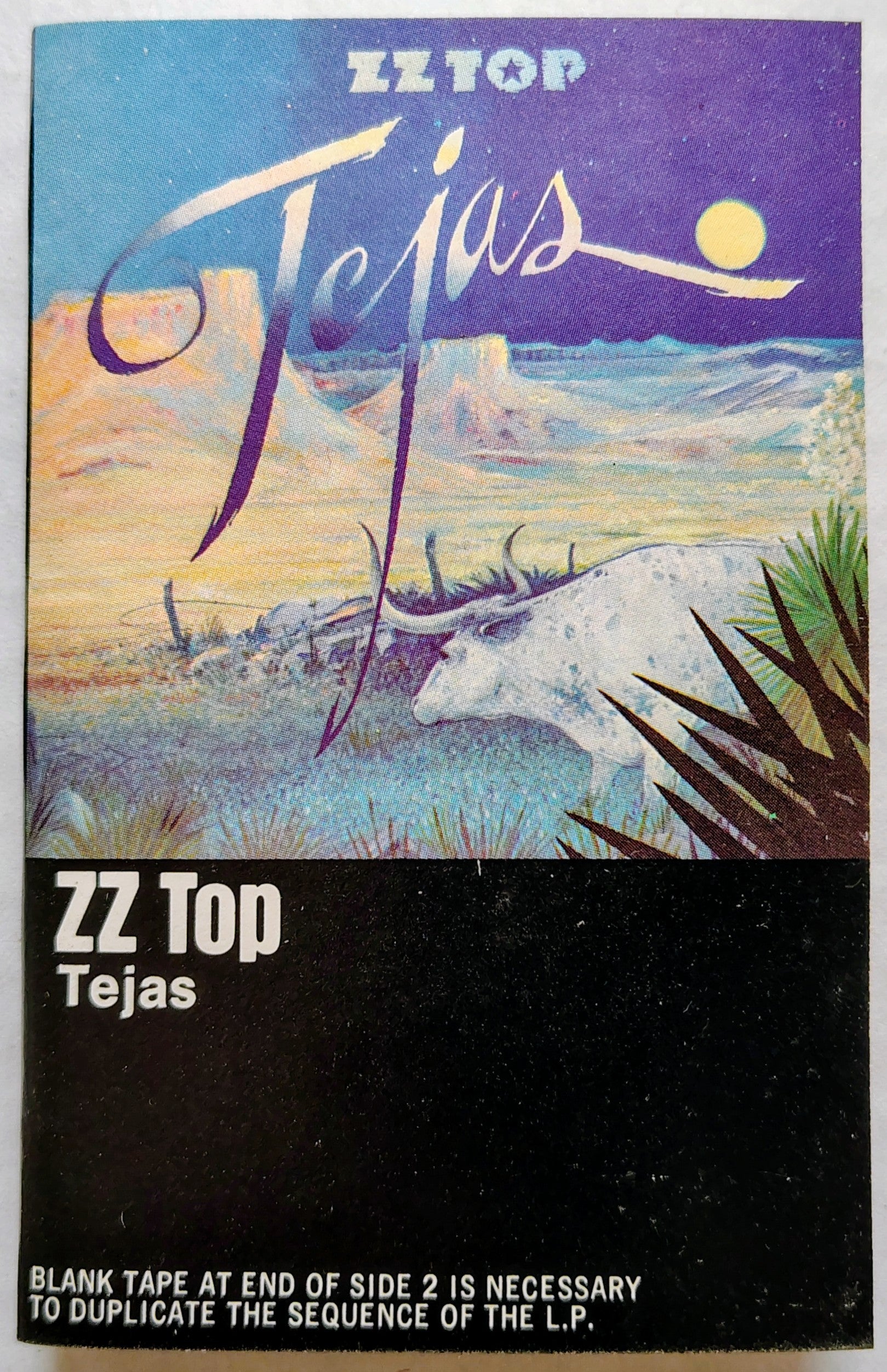 ZZ Top - Tejas