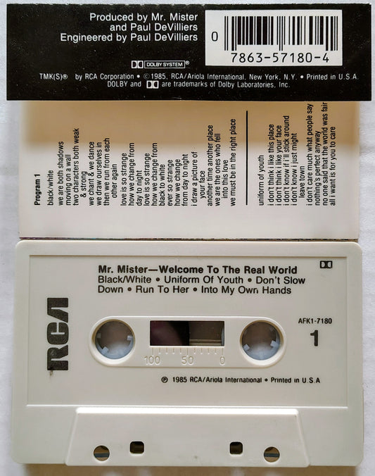 Mr. Mister - Welcome to the Real World