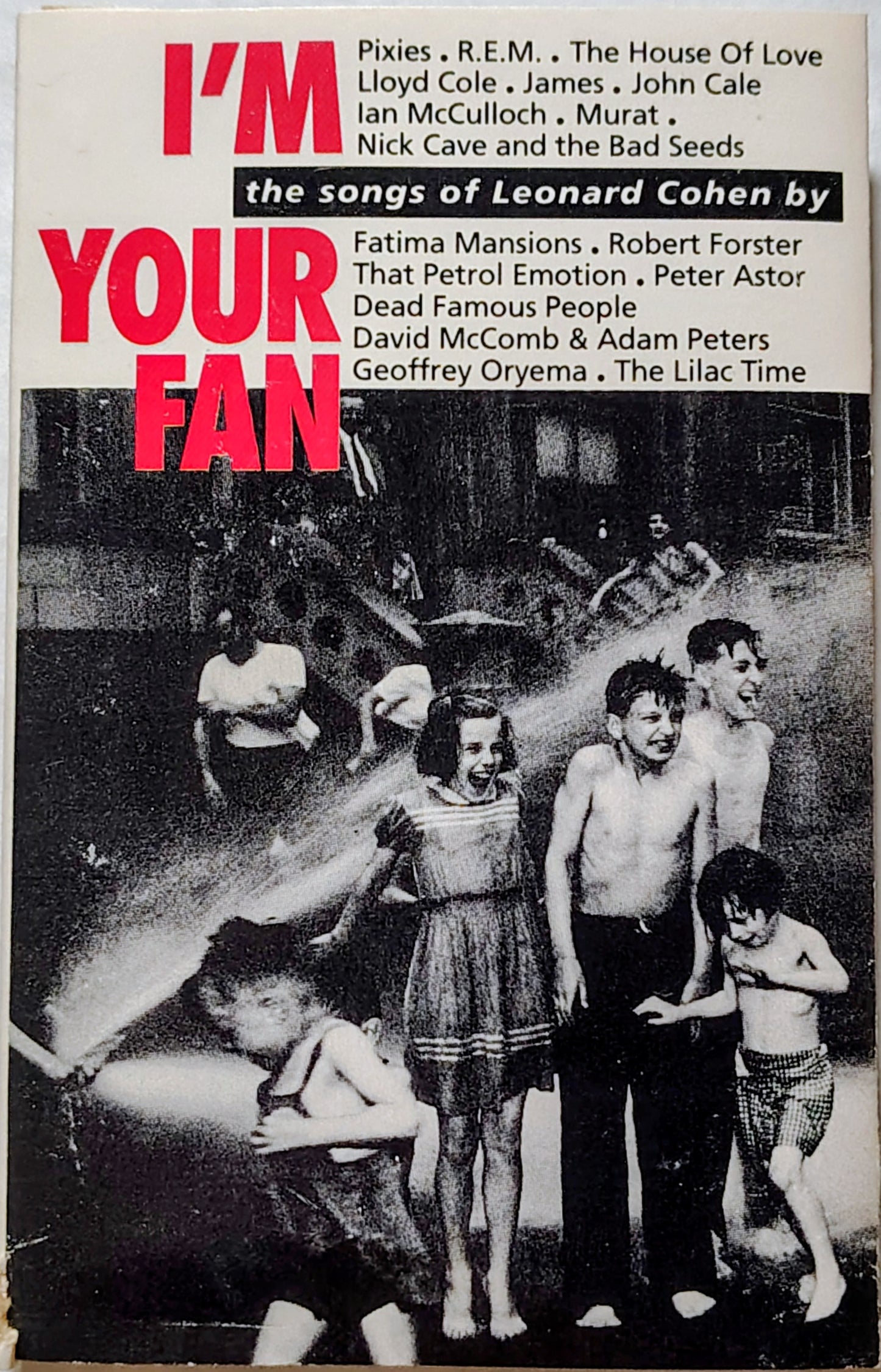 Various Artists - I'm Your Fan - the Songs of Leonard Cohen