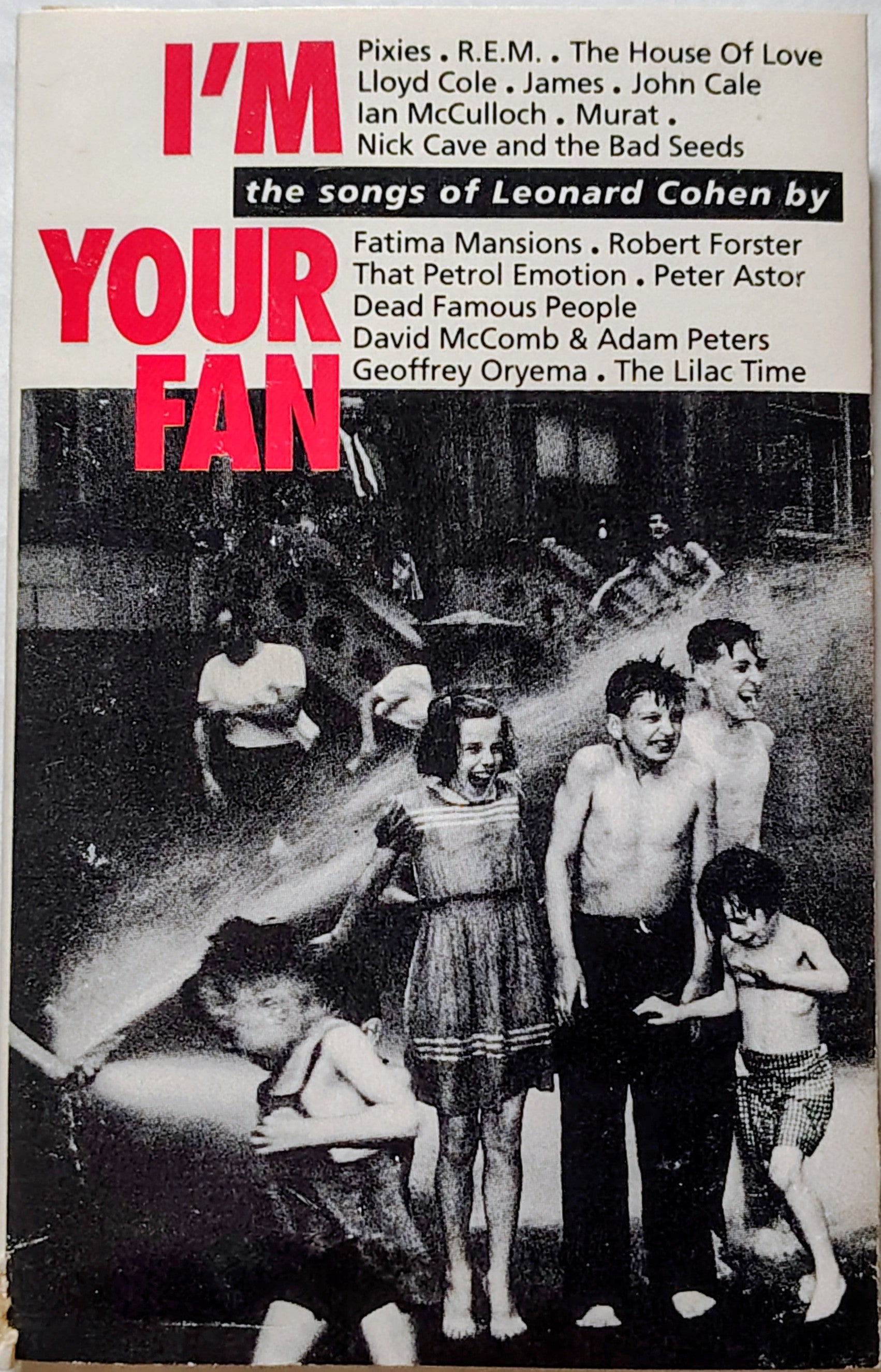 Various Artists - I'm Your Fan - the Songs of Leonard Cohen