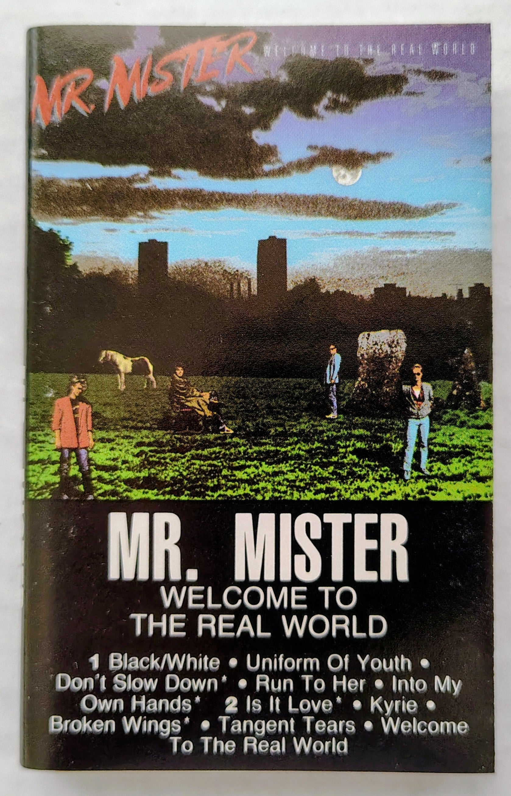 Mr. Mister - Welcome to the Real World