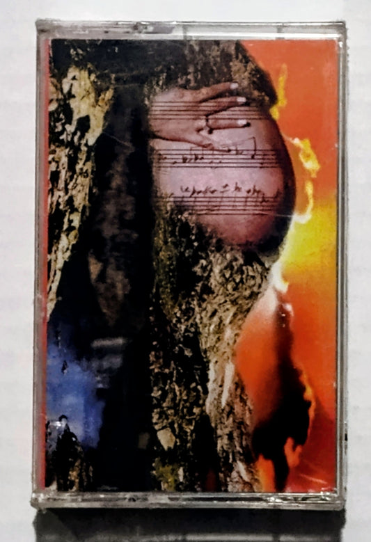 Prince (as The Artist Formerly Known As Prince) - “Emancipation (Tape 2 of 3 Only)” - CASSETTE TAPE NM/M (Sealed, light wear)