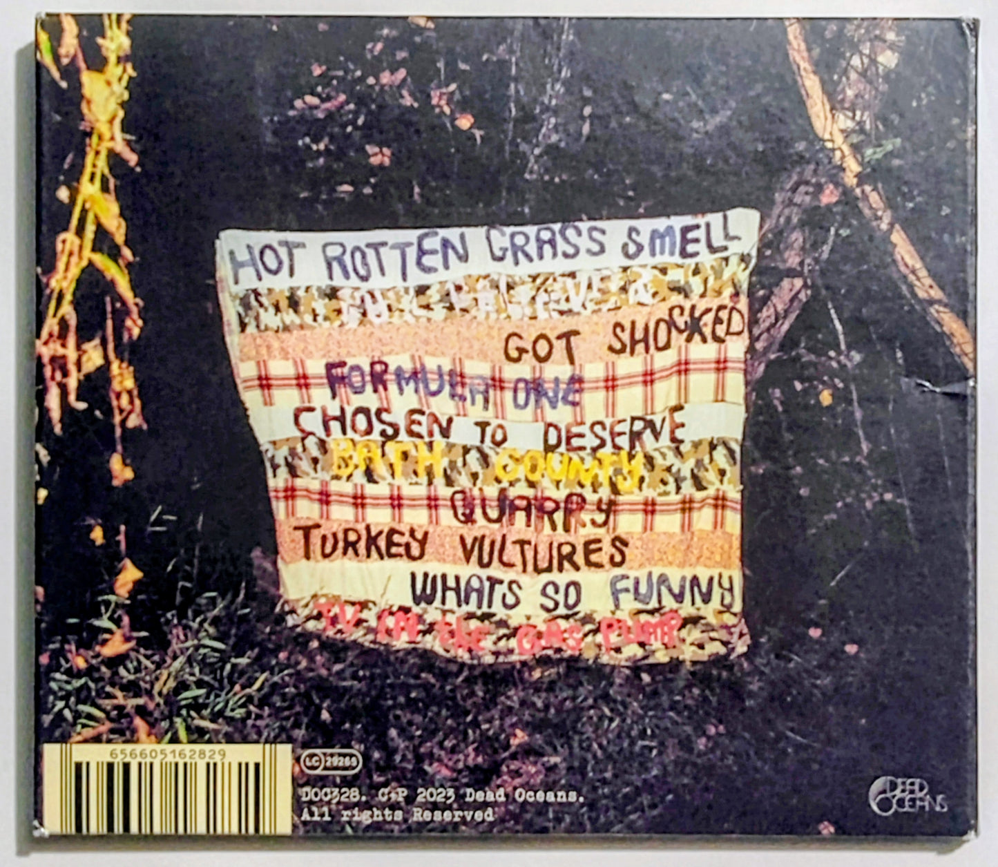 Wednesday - "Rat Saw God" - INDIE COMPACT DISC VG/NM