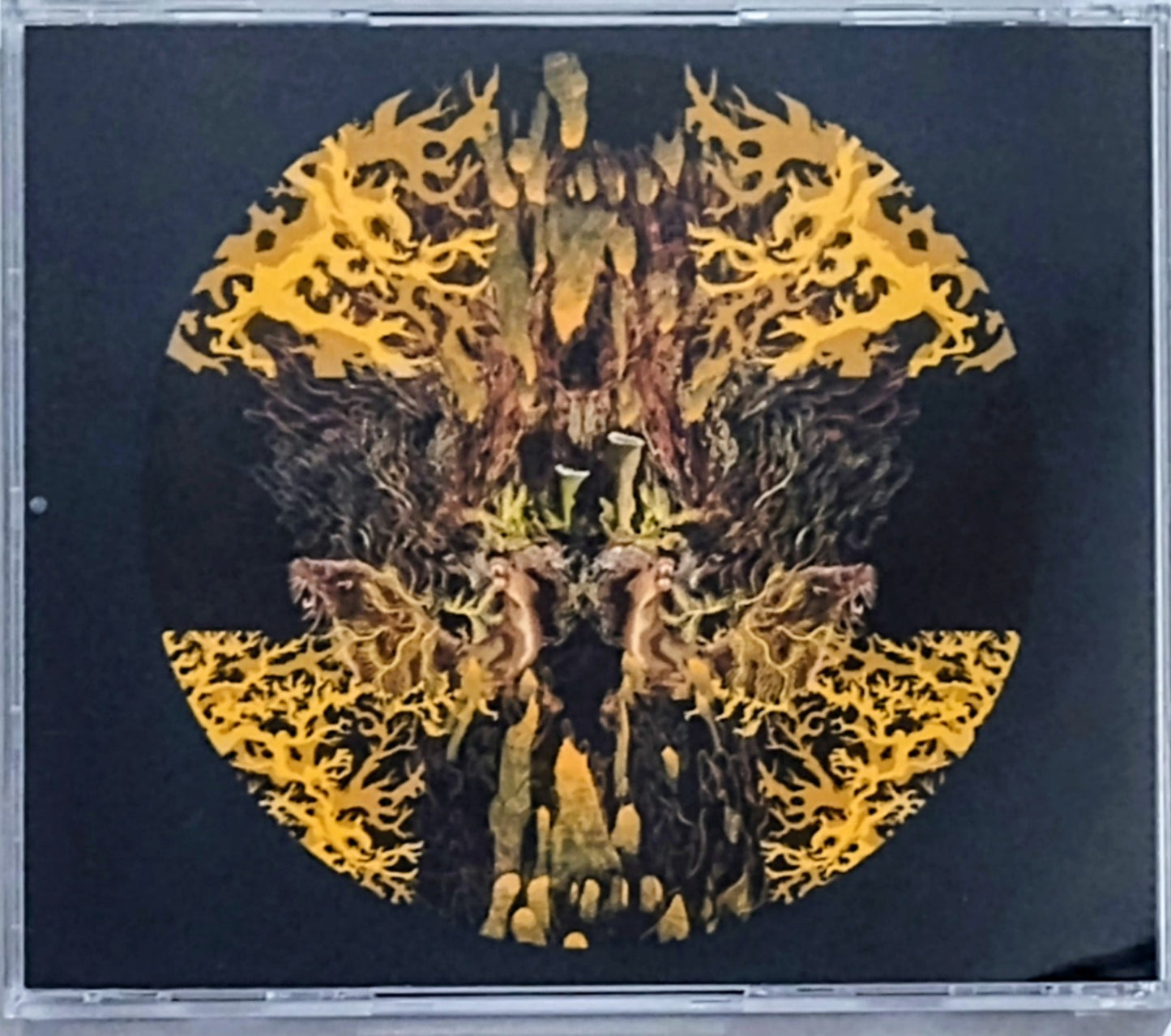 Elder - "Lore" - INDIE COMPACT DISC NM/NM
