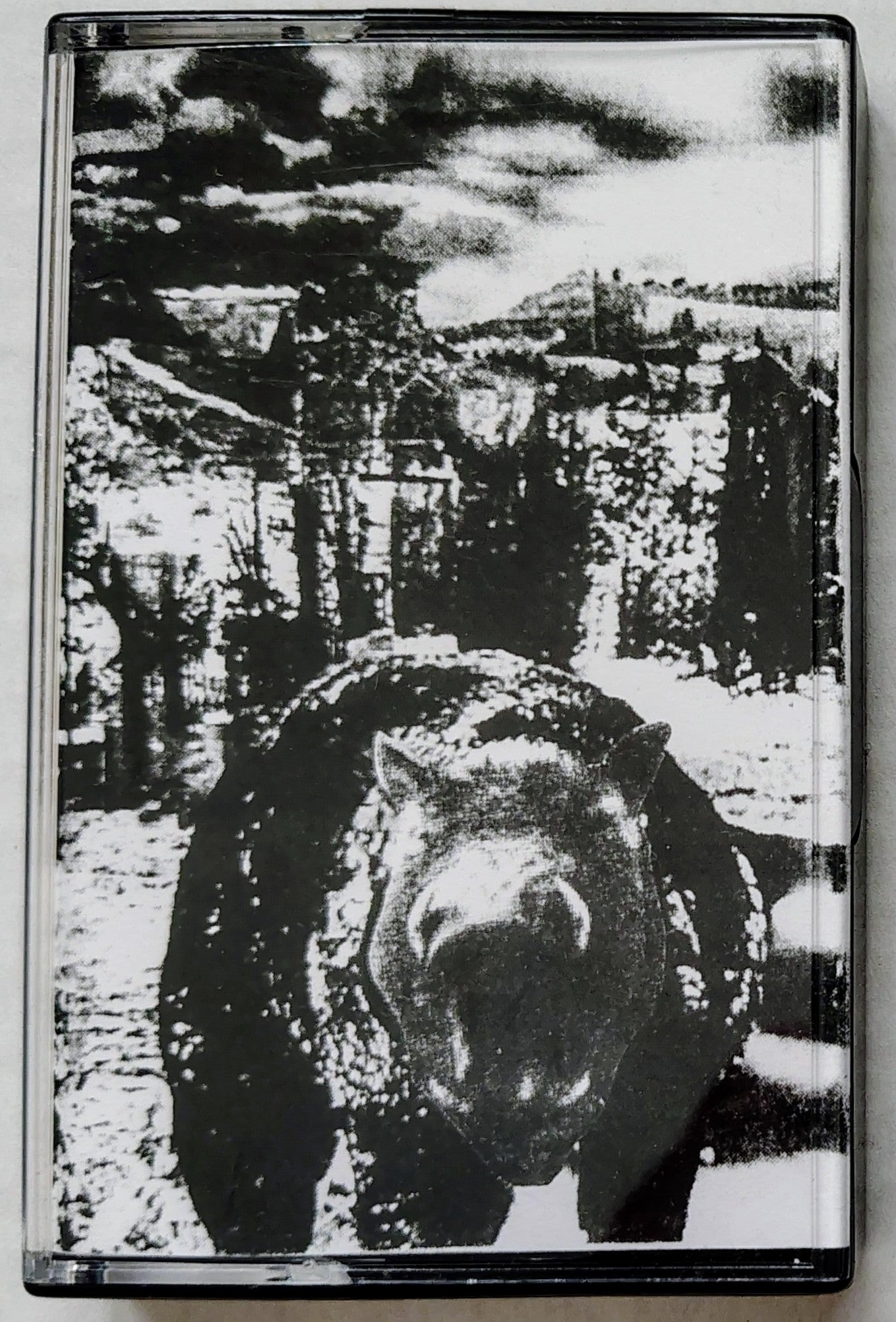 Dusty Turrets/ Blood Nymph - "Split" - INDIE CASSETTE TAPE M/M