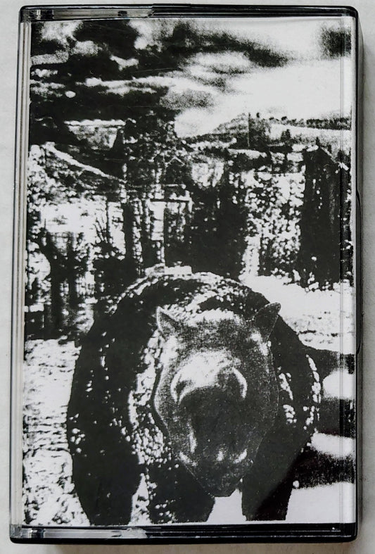 Dusty Turrets/ Blood Nymph - "Split" - INDIE CASSETTE TAPE M/M