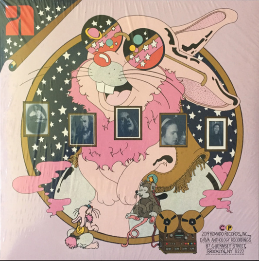 Various Artists - "Sad About The Times" - VINYL RECORD (Pink Color Vinyl) NM/M (Sealed)