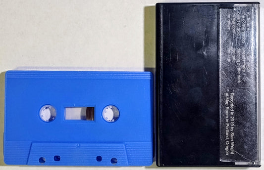 Pleasure Leftists - “The Gate” - INDIE CASSETTE TAPE NM/NM *🌟*