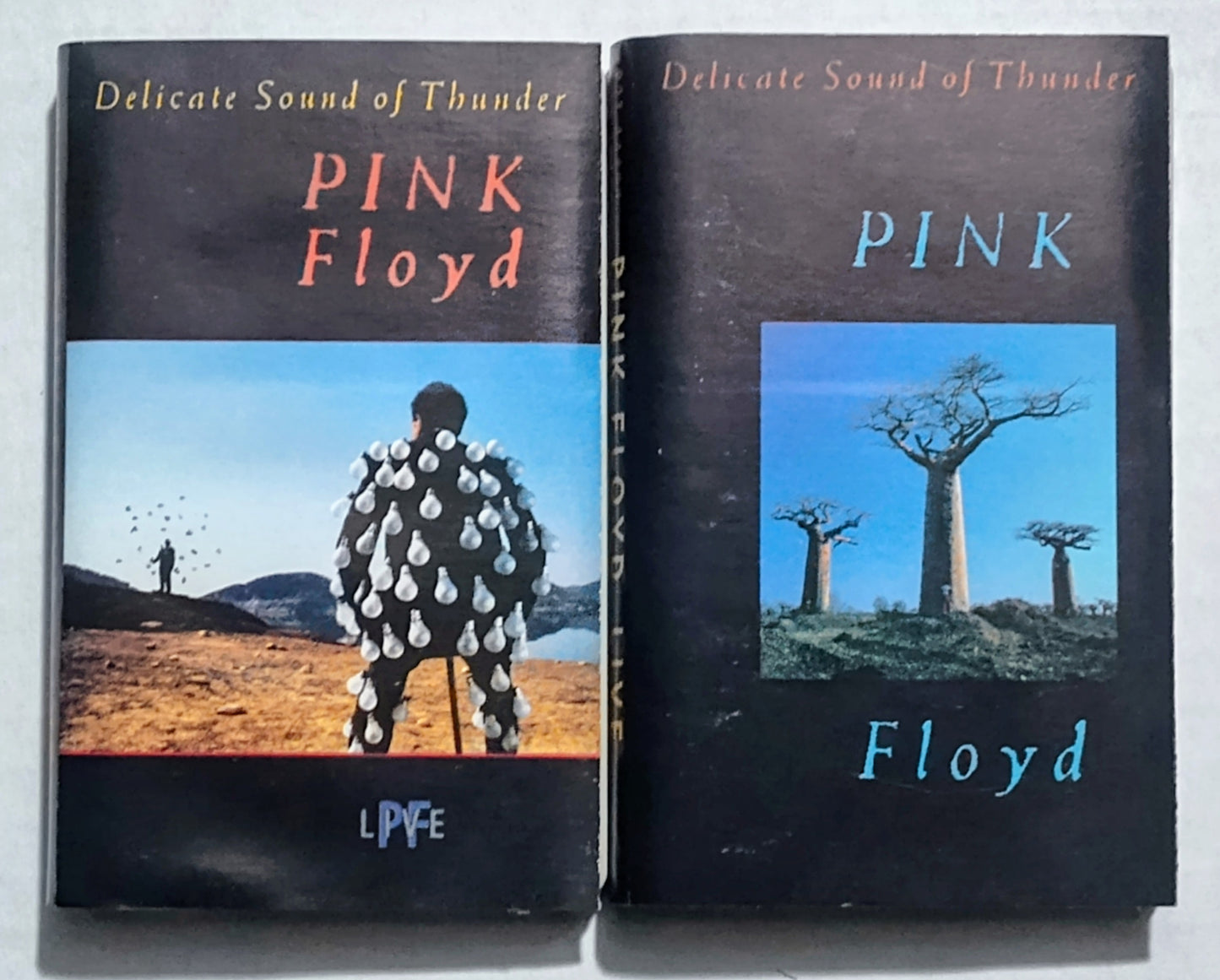 Pink Floyd - “Delicate Sound Of Thunder” - CASSETTE TAPE (2x) VG/VG+