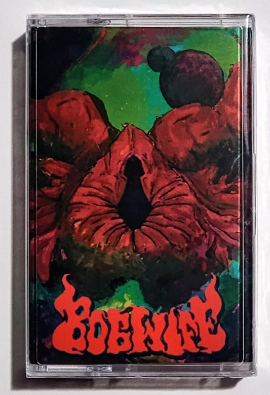 Bogwife - "Halls Of Rebirth" INDIE CASSETTE TAPE M/M (Sealed).