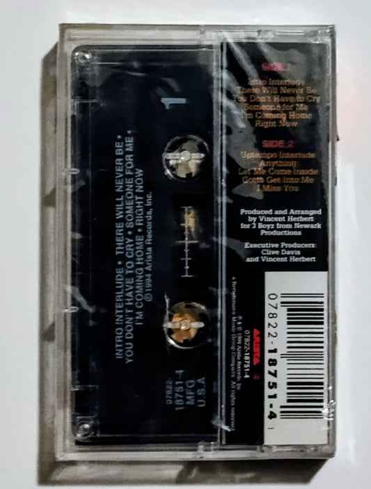 N II U - "N II U" - CASSETTE TAPE NM/M (Sealed with hype sticker; small crack on back of case)