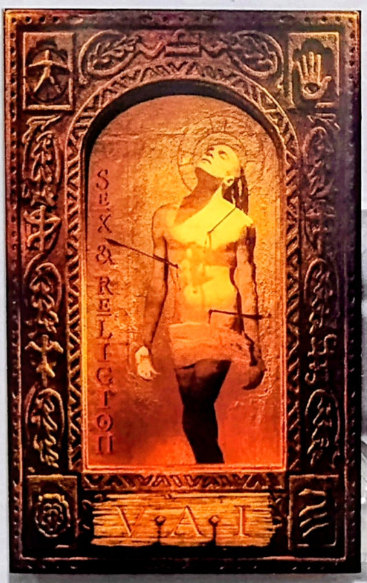 Steve Vai - “Sex & Religion” - CASSETTE TAPE VG+/VG+