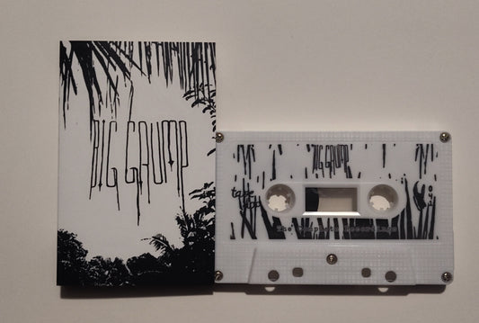 Big Grump - "The Complete Recordings" - INDIE CASSETTE TAPE (Tape Dad) M/M