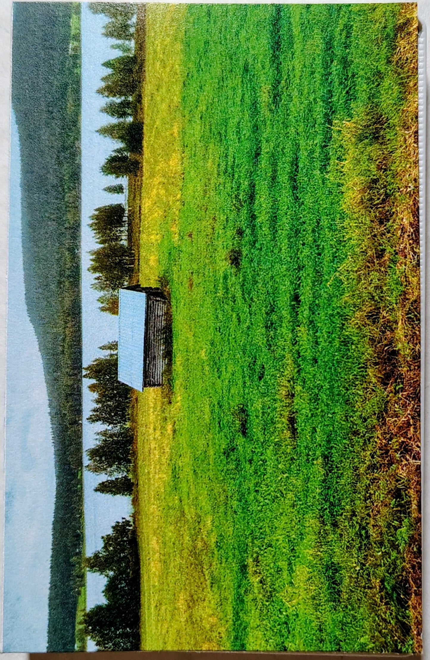 PreterMit - "Stilted Life Conspi..." - INDIE CASSETTE TAPE NM/NM