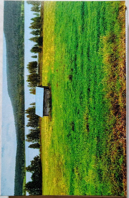 PreterMit - "Stilted Life Conspi..." - INDIE CASSETTE TAPE NM/NM