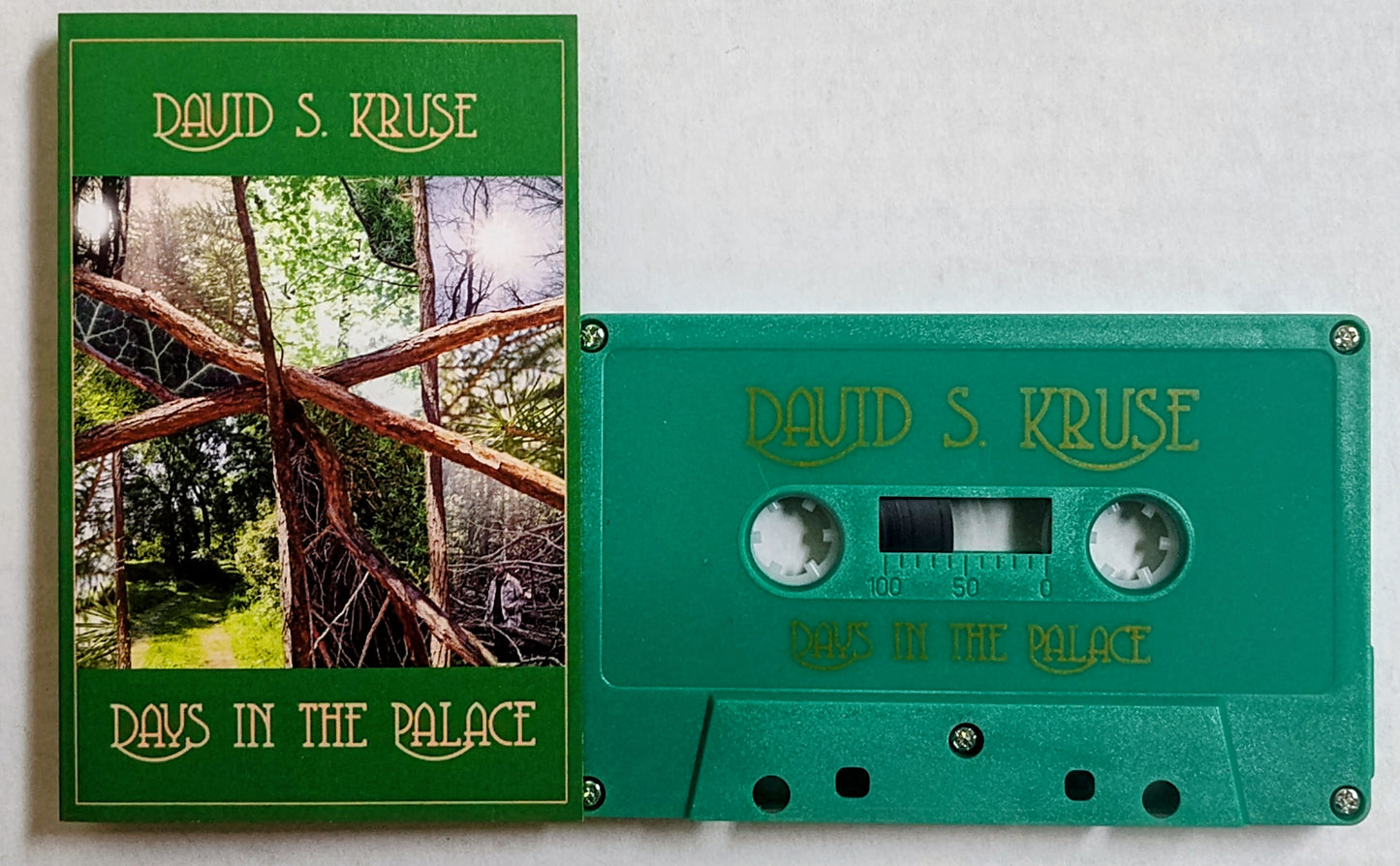 David S. Kruse - “Days In The Palace” - INDIE CASSETTE TAPE M/M