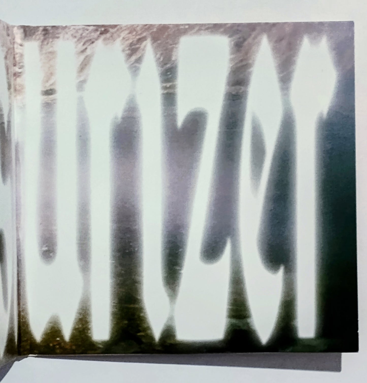 Wet Leg - "Moisturizer" - INDIE COMPACT DISC NM/NM