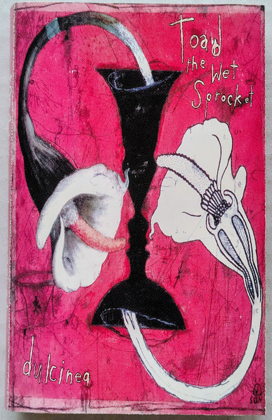Toad the Wet Sprocket - "Dulcinea" - CASSETTE TAPE G+/VG *🚨*