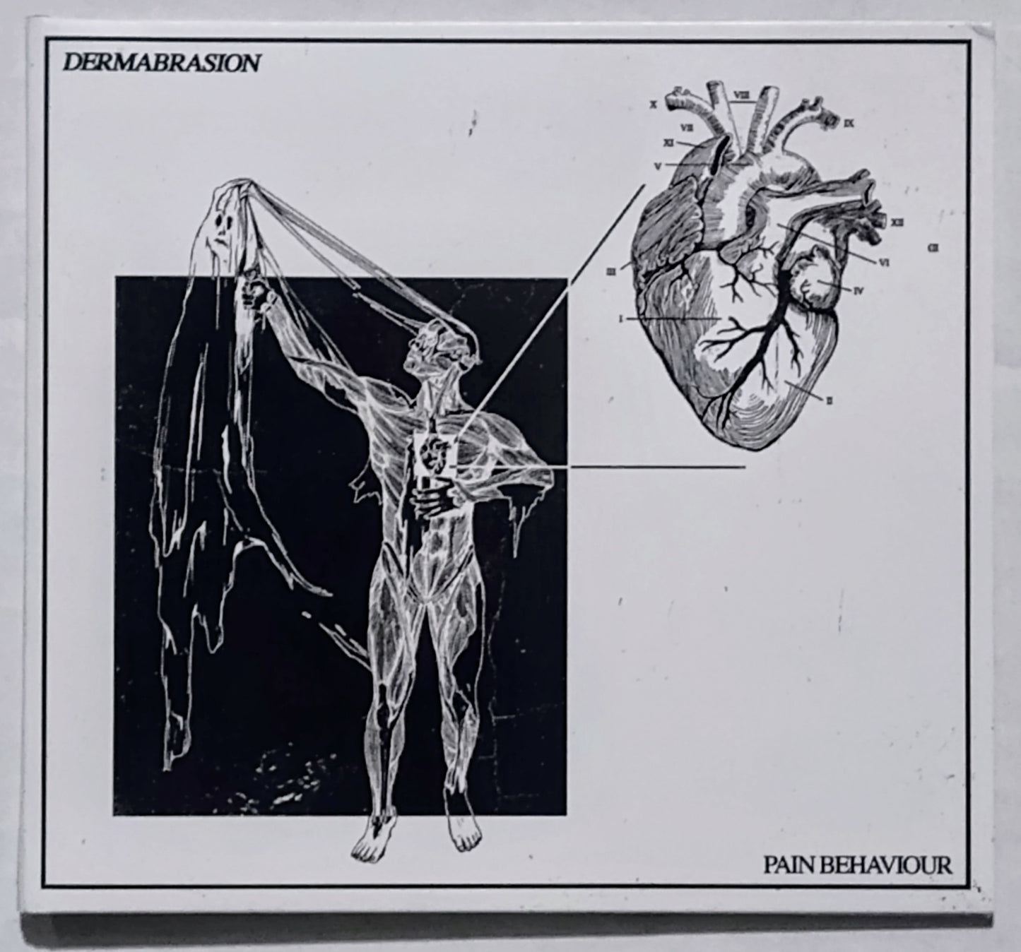 Dermabrasion - “Pain Behaviour” - INDIE COMPACT DISC VG+/VG+ (Canadian Dark Wave; my fav album of 2024)