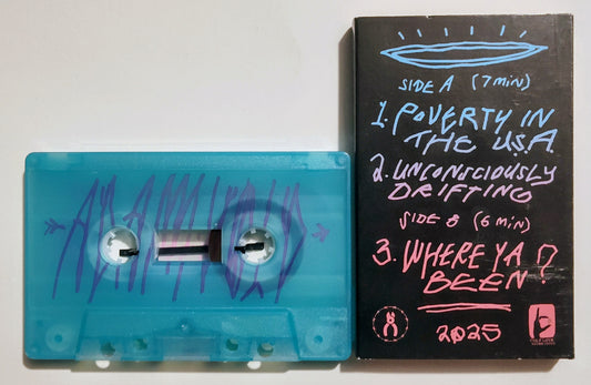 Adam Void - "Poverty In The USA" - INDIE CASSETTE TAPE M/M