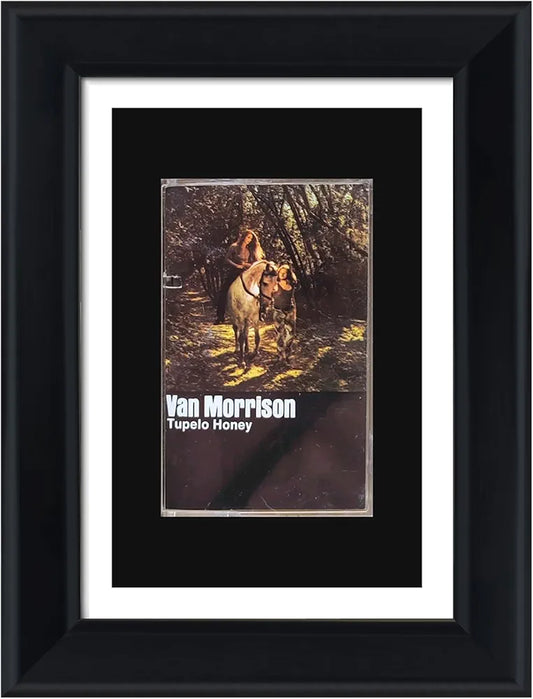 Cassette Tape Display Frame - Single Case Display - Free Shipping!