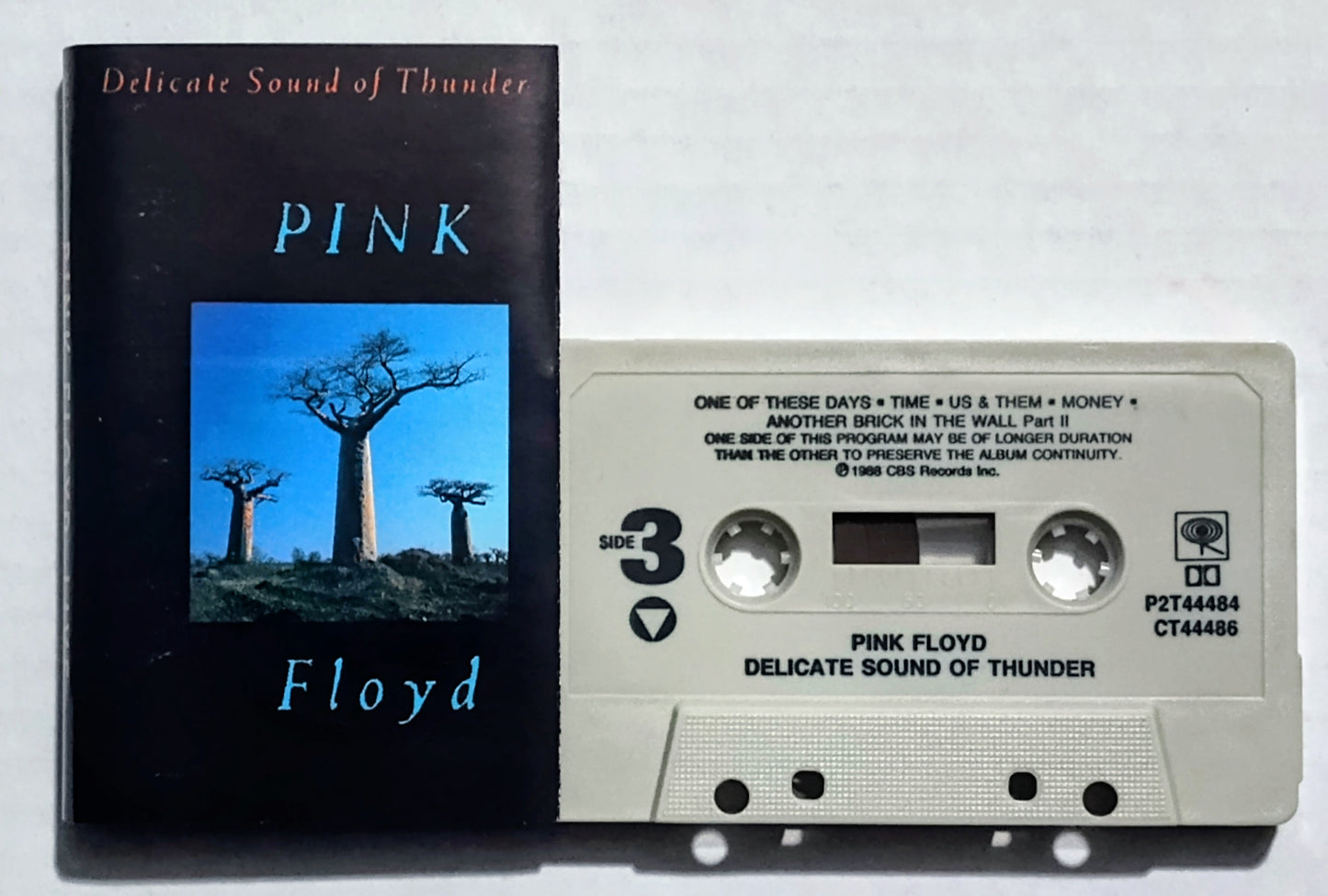 Pink Floyd - “Delicate Sound Of Thunder” - CASSETTE TAPE (2x) VG/VG+
