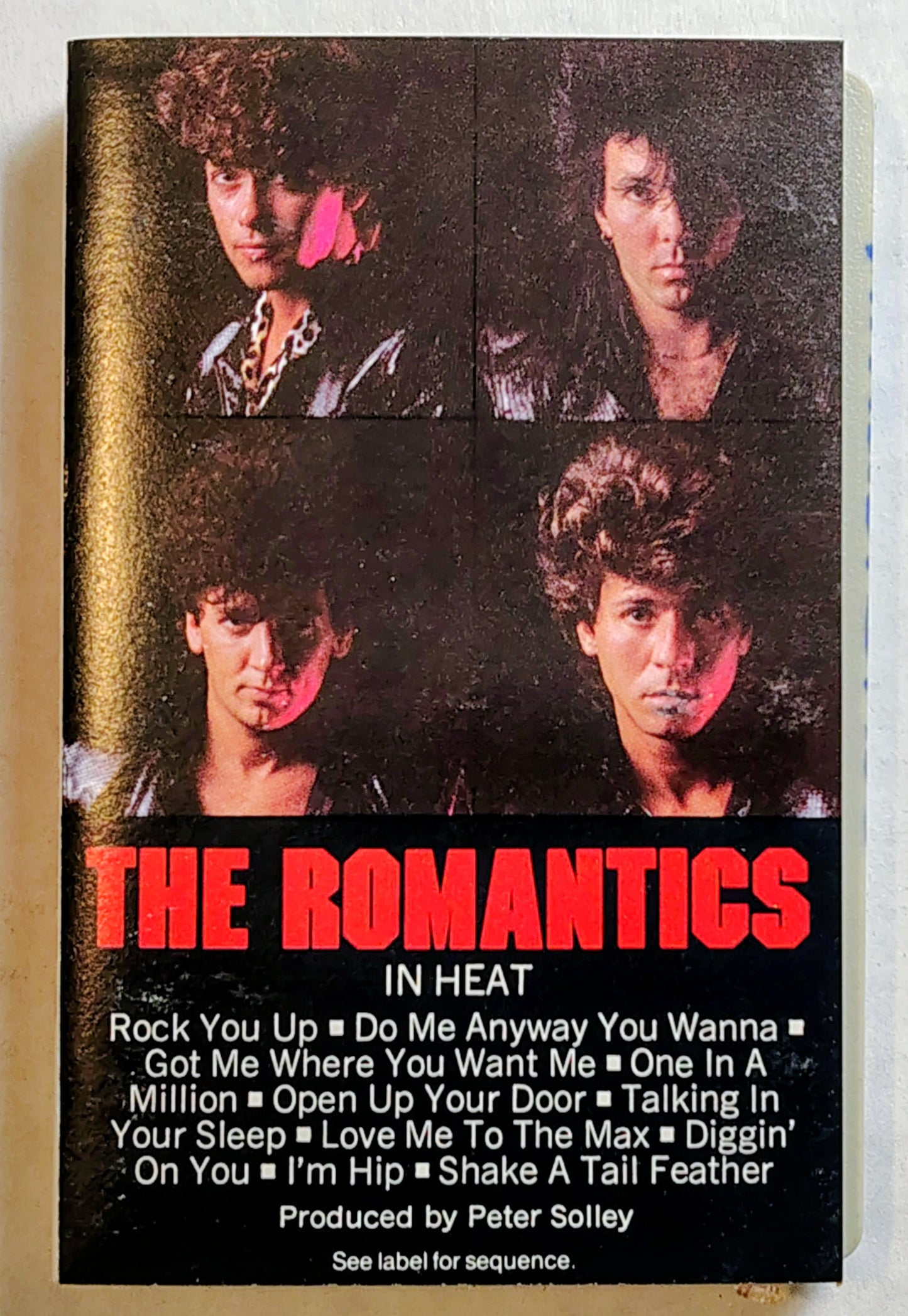 Romantics, The - “In Heat” - CASSETTE TAPE VG/VG