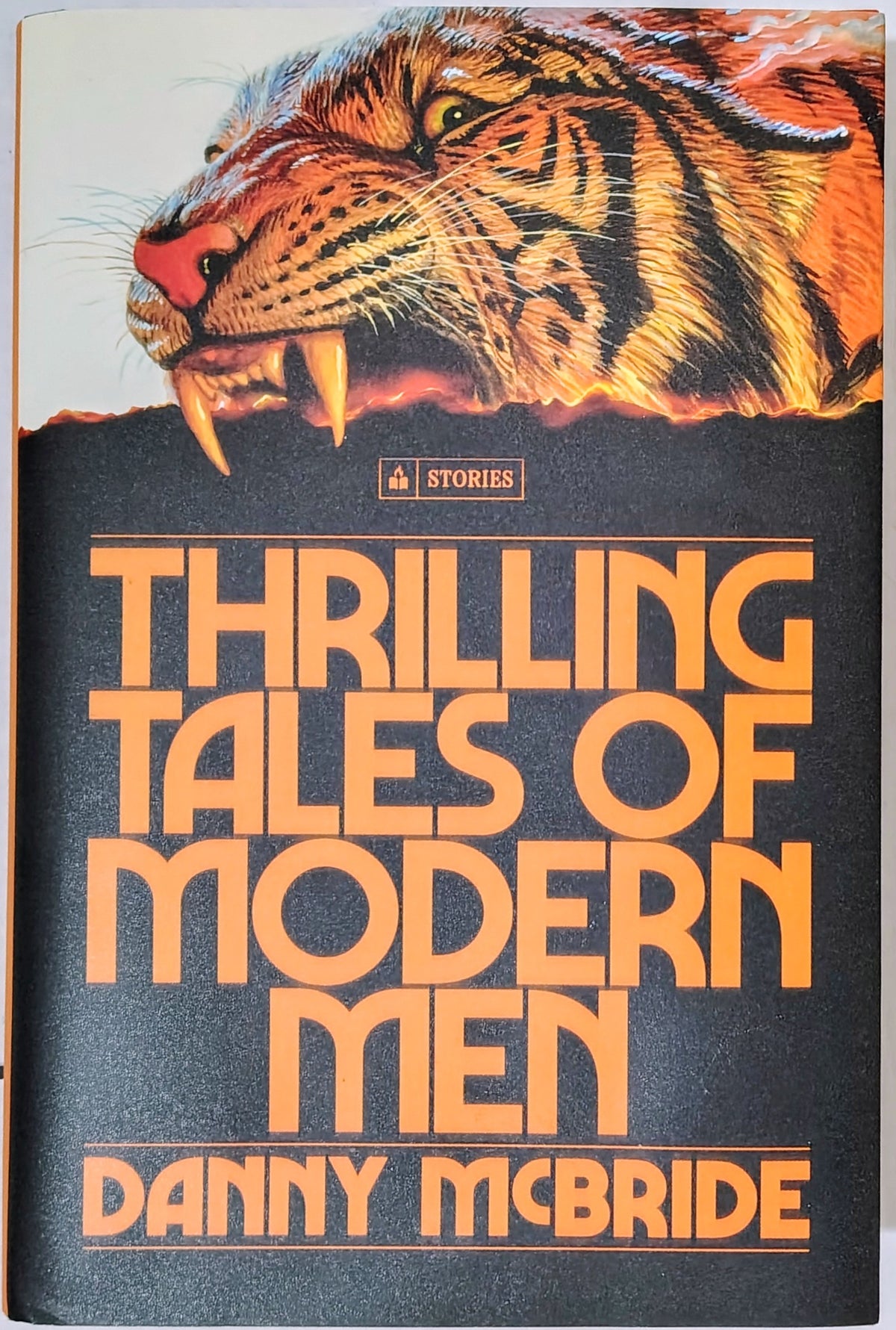 Thrilling Tales Of Modern Men by Danny McBride (A collection of short stories) NEW