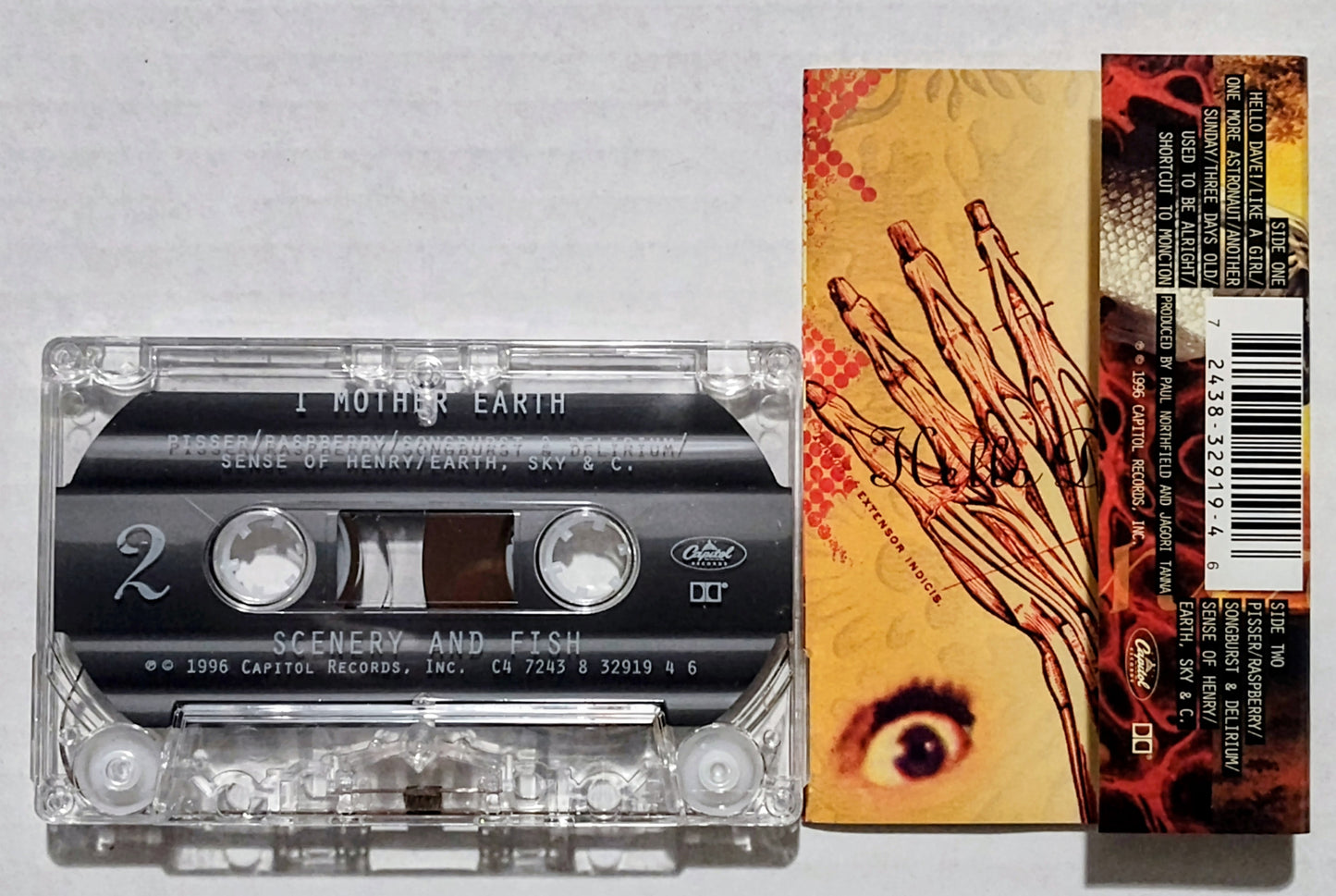 I Mother Earth - “Scenery And Fish” - CASSETTE TAPE NM/NM *🚨*