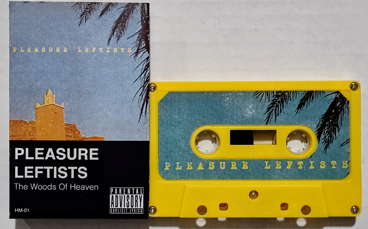 Pleasure Leftists - "The Woods Of Heaven" - INDIE CASSETTE TAPE NM/NM (Personal Collection)