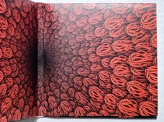 Slift - "Ilion" - INDIE COMPACT DISC NM/NM *🌟*